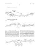 Conjugates Containing Hydrophilic Spacer Linkers diagram and image