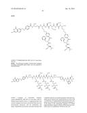 Conjugates Containing Hydrophilic Spacer Linkers diagram and image