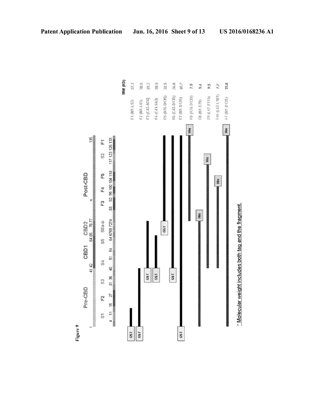 ANTI-GALECTIN-1 MONOCLONAL ANTIBODIES AND FRAGMENTS THEREOF - diagram, schematic, and image 10