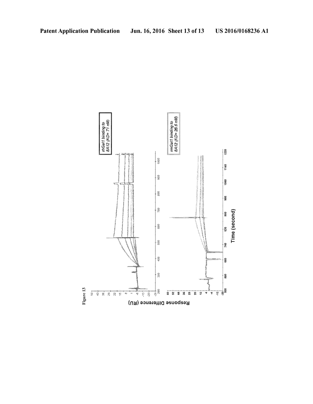 ANTI-GALECTIN-1 MONOCLONAL ANTIBODIES AND FRAGMENTS THEREOF - diagram, schematic, and image 14