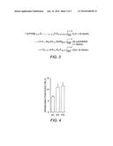 Flk1+ and VE-Cadherin+ Endothelial Cells Derived from iPS or ES Cells, and     Methods of Preparing and Using the Same diagram and image