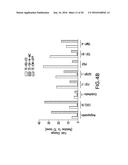 TISSUE ENGINEERED MODELS OF CANCERS diagram and image