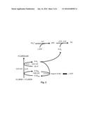 GENETICALLY MODIFIED ORGANISMS diagram and image