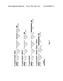GENETIC ENGINEERING OF PSEUDOMONAS PUTIDA KT2440 FOR RAPID AND HIGH YIELD     PRODUCTION OF VANILLIN FROM FERULIC ACID diagram and image