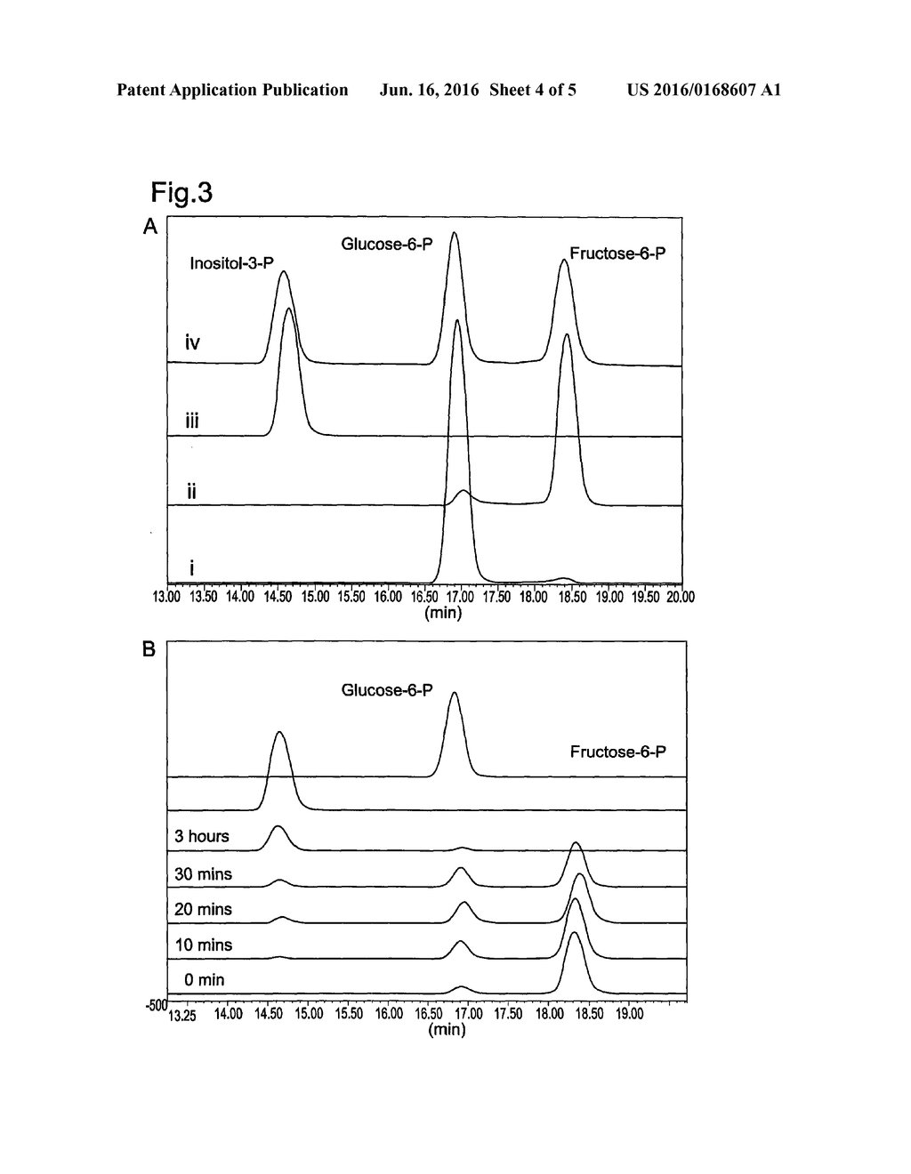 Inositol Biotransformation - diagram, schematic, and image 05