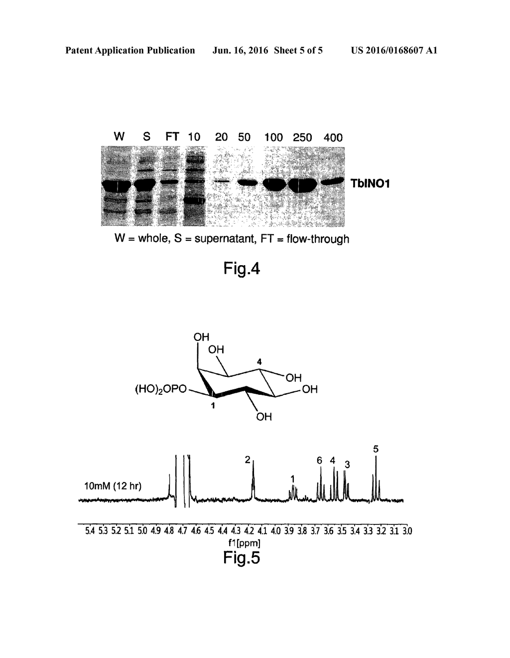 Inositol Biotransformation - diagram, schematic, and image 06