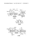 CELLULAR PROBE DEVICE, SYSTEM AND ANALYSIS METHOD diagram and image