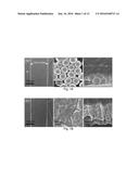 ELECTROLESS COPPER PLATING POLYDOPAMINE NANOPARTICLES diagram and image