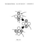 SCALABLE MULTI-ELEMENT SHAPE MEMORY ALLOY ROTARY MOTOR diagram and image