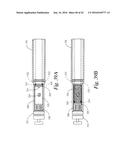 IN SITU HEAT INDUCED ANTIGEN RECOVERY AND STAINING APPARATUS AND METHOD diagram and image