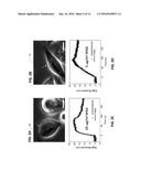 LABEL-FREE DETECTION OF SMALL AND LARGE MOLECULE INTERACTIONS, AND     ACTIVITIES IN BIOLOGICAL SYSTEMS diagram and image