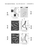 LABEL-FREE DETECTION OF SMALL AND LARGE MOLECULE INTERACTIONS, AND     ACTIVITIES IN BIOLOGICAL SYSTEMS diagram and image