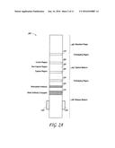 SYSTEMS, DEVICES AND METHODS FOR A LATERAL FLOW ASSAY WITH SOLUTION     ENHANCEMENT diagram and image