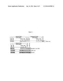 METHODS FOR MEASUREMENT OF INHIBITION OF C-JUN N-TERMINAL KINASE IN SKIN diagram and image