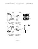 Direct Electrical Detection of Current-Induced Spin Polarization Due to     Spin-Momentum Locking in Topological Insulators diagram and image