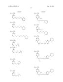 LAMINATE BODY diagram and image