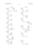 LAMINATE BODY diagram and image