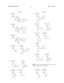 LAMINATE BODY diagram and image