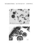 OXIDIZED CELLULOSE MICROSPHERES diagram and image