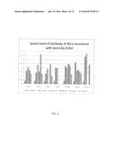 Ureaplasma Vaccine and Antibodies diagram and image