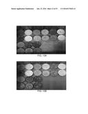 SYSTEMS FOR CUSTOM COLORATION diagram and image