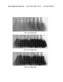 SYSTEMS FOR CUSTOM COLORATION diagram and image