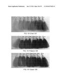 SYSTEMS FOR CUSTOM COLORATION diagram and image