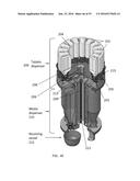 SYSTEMS FOR CUSTOM COLORATION diagram and image