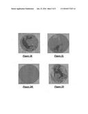 METHOD OF FORMING AN ANTIFOAM GRANULE diagram and image