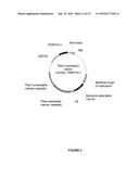 PLANTS HAVING ONE OR MORE ENHANCED YIELD-RELATED TRAITS AND A METHOD FOR     MAKING THE SAME diagram and image