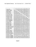 PLANTS HAVING ONE OR MORE ENHANCED YIELD-RELATED TRAITS AND A METHOD FOR     MAKING THE SAME diagram and image