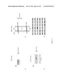 STROKE VOLUME DISPLACEMENT FLOW RATE SENSOR AND METHOD FOR REGULATING FLOW diagram and image