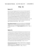 ANTI-5T4 ANTIBODIES AND USES THEREOF diagram and image