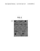 ANTI-5T4 ANTIBODIES AND USES THEREOF diagram and image