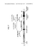 ANTI-5T4 ANTIBODIES AND USES THEREOF diagram and image