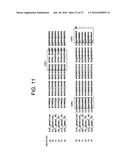 ANTI-5T4 ANTIBODIES AND USES THEREOF diagram and image