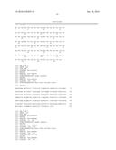 ANTI-5T4 ANTIBODIES AND USES THEREOF diagram and image