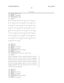 ANTI-5T4 ANTIBODIES AND USES THEREOF diagram and image