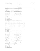 ANTI-5T4 ANTIBODIES AND USES THEREOF diagram and image