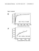 MODIFIED CASCADE RIBONUCLEOPROTEINS AND USES THEREOF diagram and image