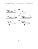 METHODS, COMPOSITIONS, AND KITS FOR NUCLEIC ACID ANALYSIS diagram and image