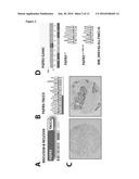 NOVEL TRANSLOCATIONS IN LUNG CANCER diagram and image