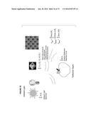 SENSOR-SYNCHRONIZED SPECTRALLY-STRUCTURED-LIGHT IMAGING diagram and image