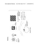 SENSOR-SYNCHRONIZED SPECTRALLY-STRUCTURED-LIGHT IMAGING diagram and image