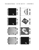 SYSTEM AND METHOD FOR AUTOMATICALLY DISCOVERING, CHARACTERIZING,     CLASSIFYING AND SEMI-AUTOMATICALLY LABELING ANIMAL BEHAVIOR AND     QUANTITATIVE PHENOTYPING OF BEHAVIORS IN ANIMALS diagram and image