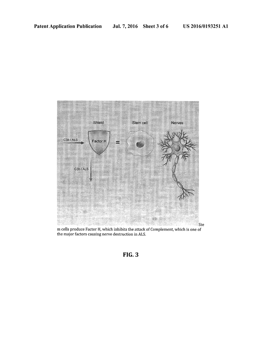 METHOD FOR TREATING ALS VIA THE INCREASED PRODUCTION OF FACTOR H - diagram, schematic, and image 04