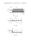 POLISHING HEAD AND POLISHING PROCESSING DEVICE diagram and image