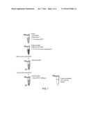 METHOD FOR EXTRACTING AND PURIFYING NUCLEIC ACIDS AND BUFFERS USED diagram and image