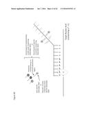 ENZYME- AND AMPLIFICATION-FREE SEQUENCING diagram and image