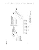 ENZYME- AND AMPLIFICATION-FREE SEQUENCING diagram and image